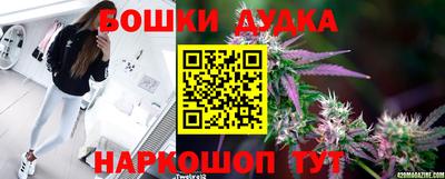 молекула духа Ярославль