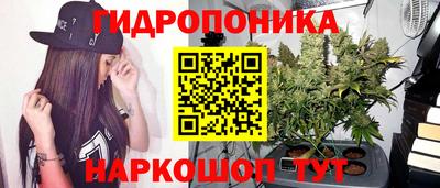 молекула духа Ярославль